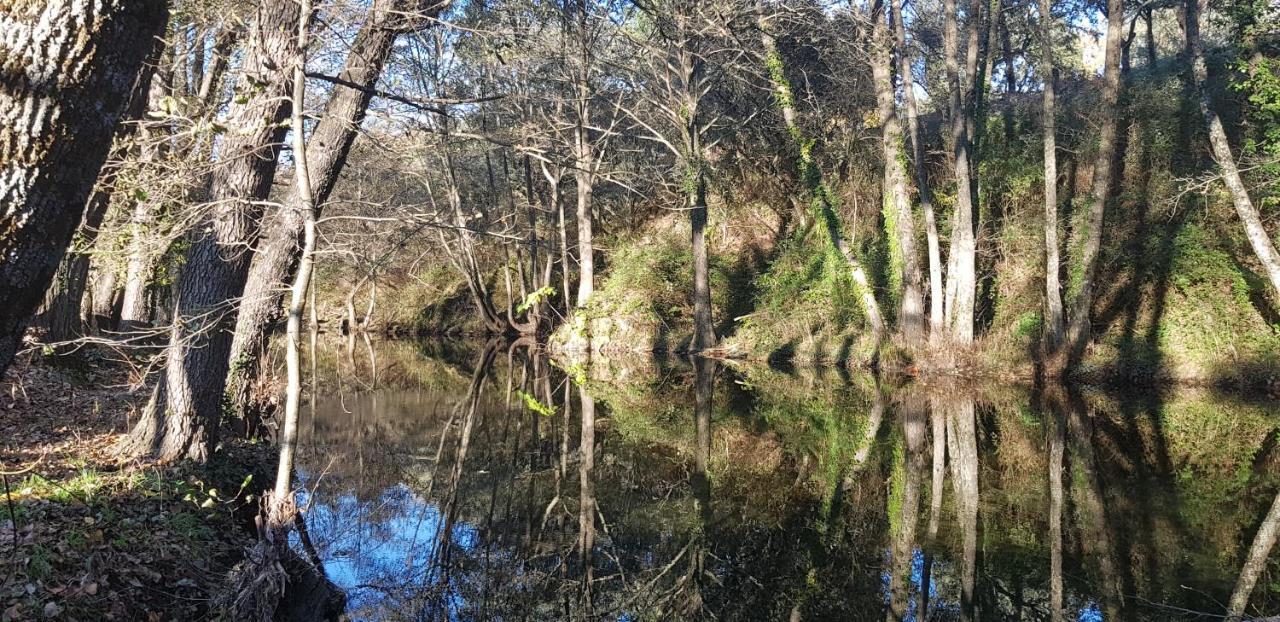 Гостевой дом Esencia De Gredos Рамакастаньяс Экстерьер фото